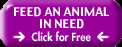 Feed an Animal in Need - Click for Free